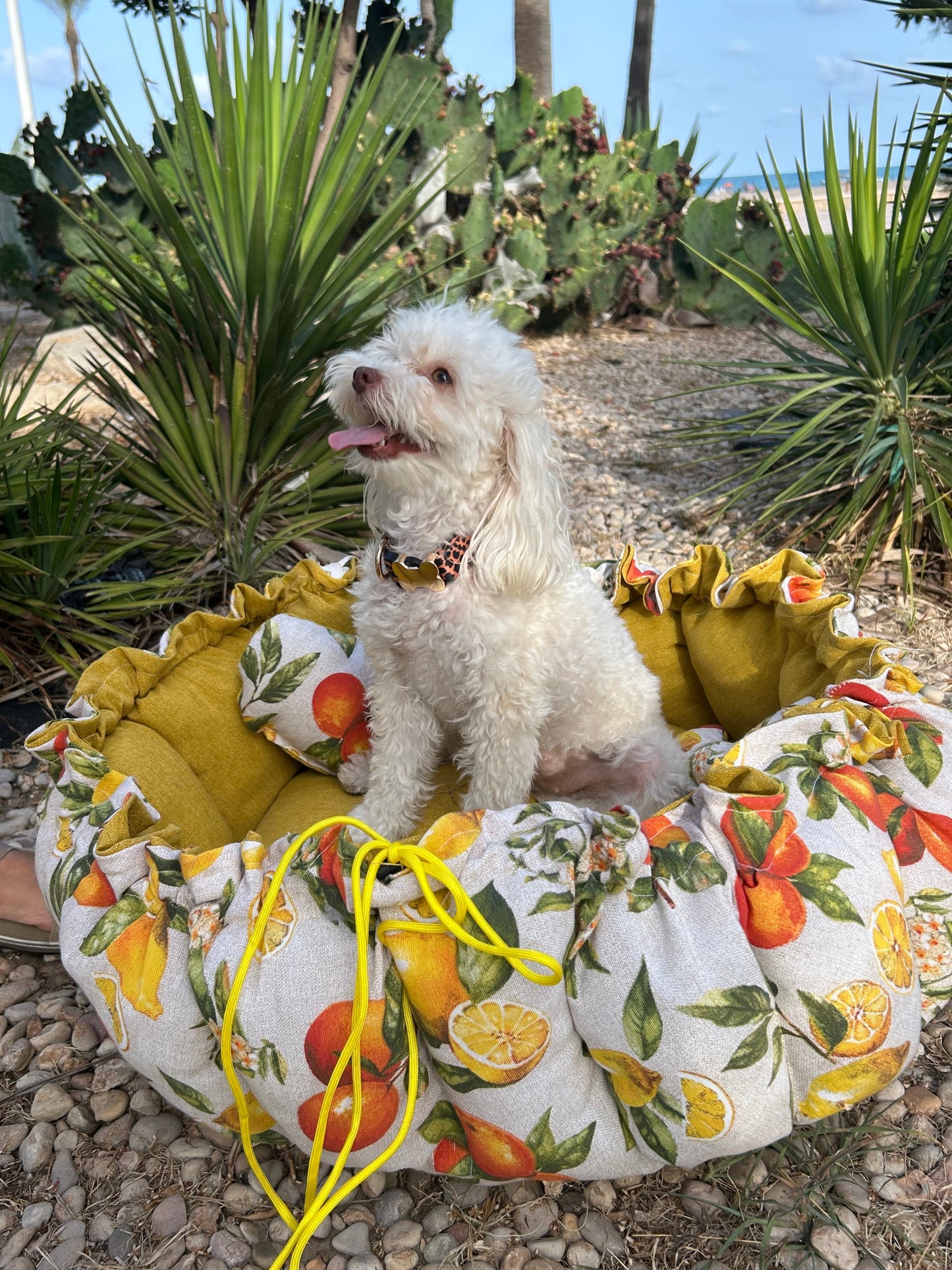 Cama para perros redonda MODELO Naranja