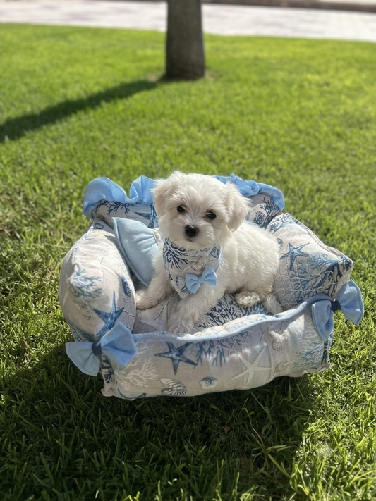Cama para perros MODELO Conchas