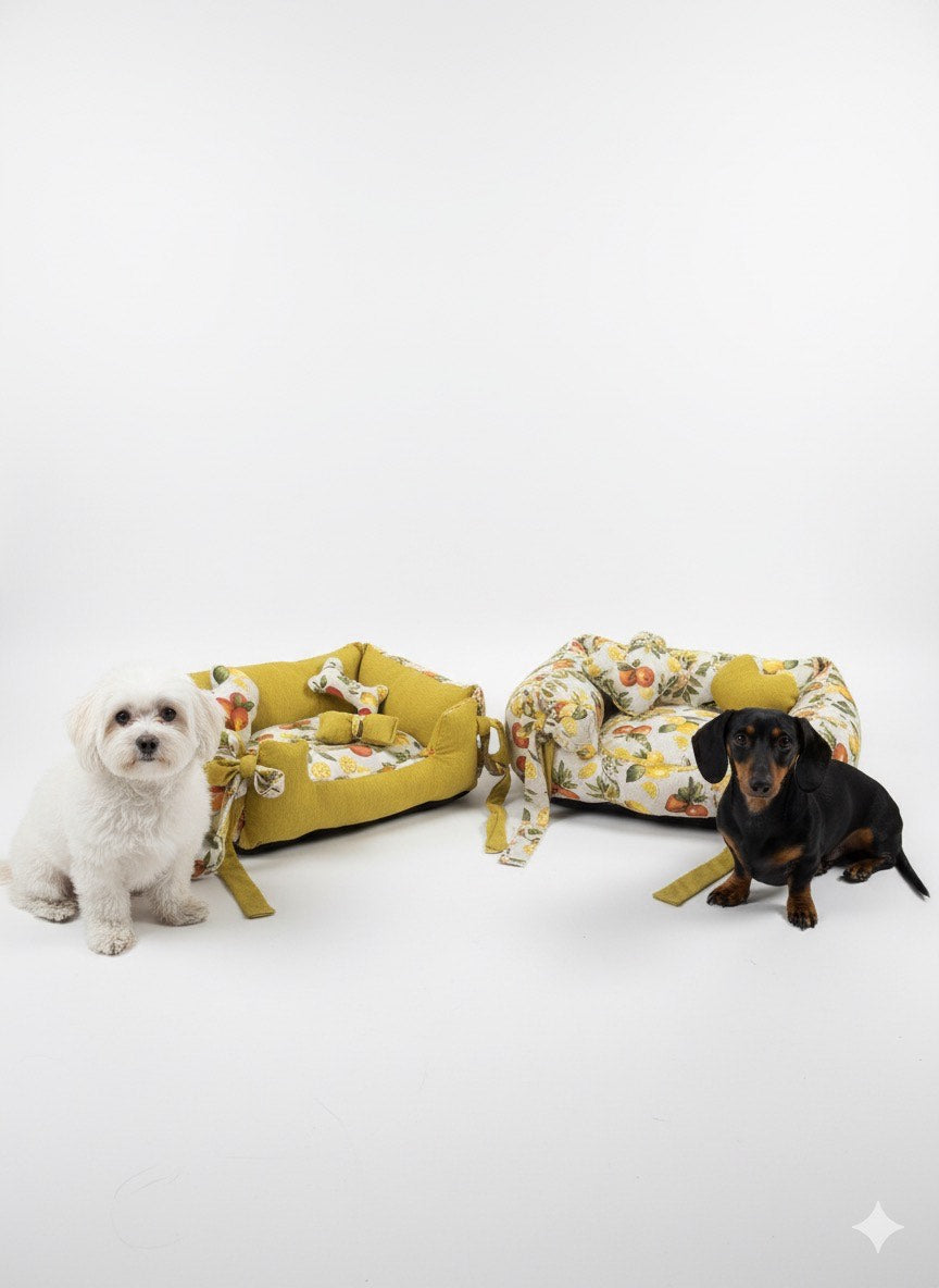Cama perro Modelo Naranja