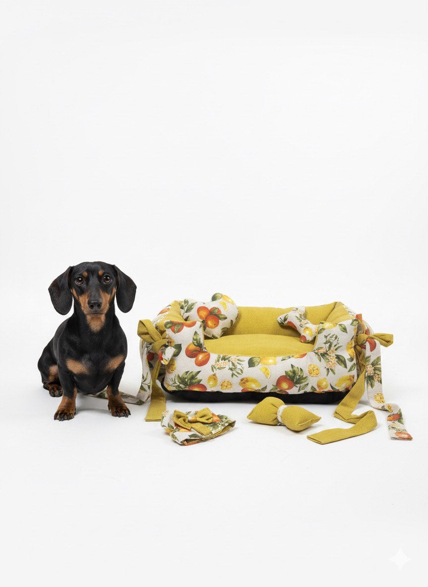 Cama perro Modelo Naranja